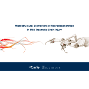 Decision Neuroscience Laboratory receives multidisciplinary grant